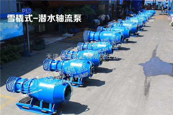 潜水轴流泵的具体保养方法