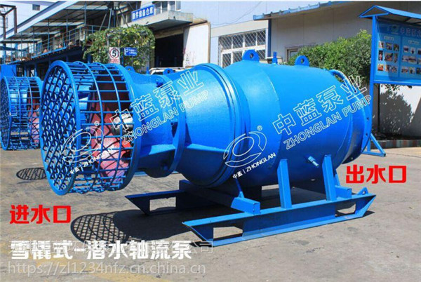 简易式轴流泵的工作原理 出厂价格